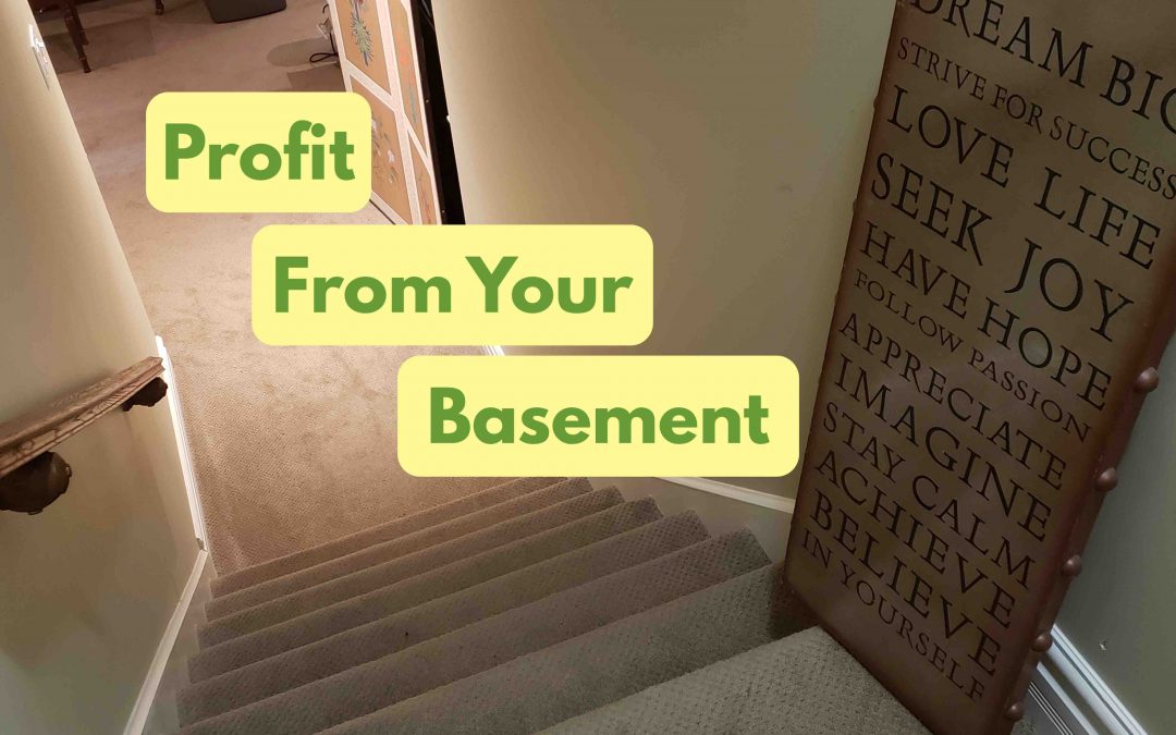 Profit From Your Basement with No Money Down